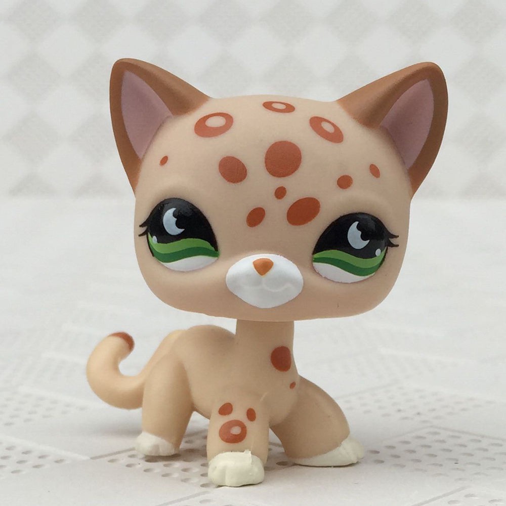 lps brown cat