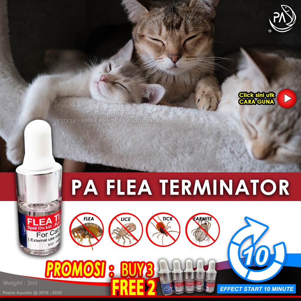 PA Flea Terminator ( Ready Stok ) spot on kill flea tick 