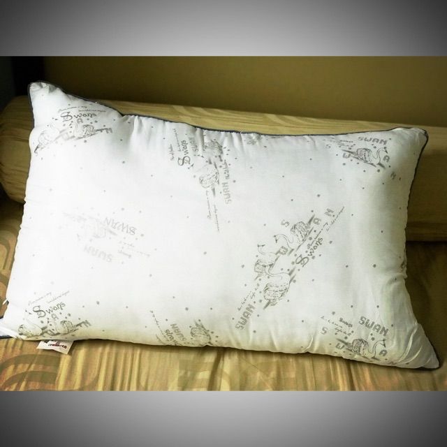 Buy 1 Free 1 Goose Feather And Down Filling Hotel Pillows酒店款