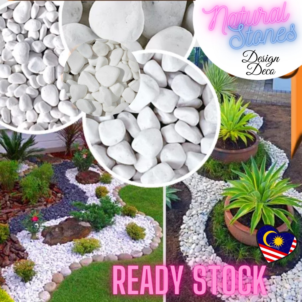 Pasar Borongbatu Putih White Pebble Stone Home Design Terrarium Stones Aquarium Gardening Landscape Decorations