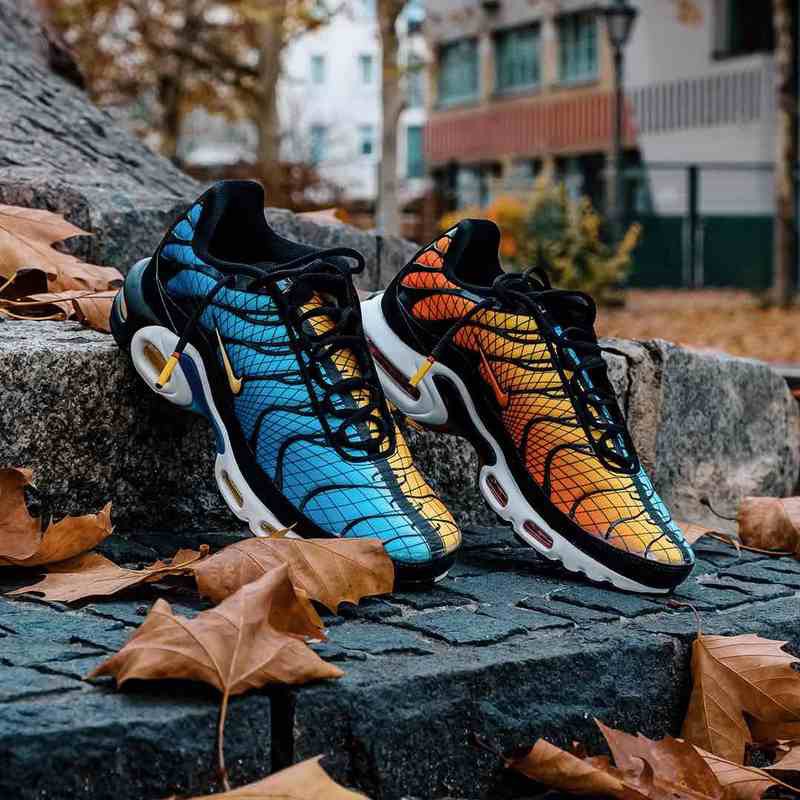 nike air max tn zenske