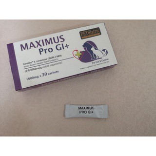 Buy Maximus Pro Gi Stock Ready Seetracker Malaysia