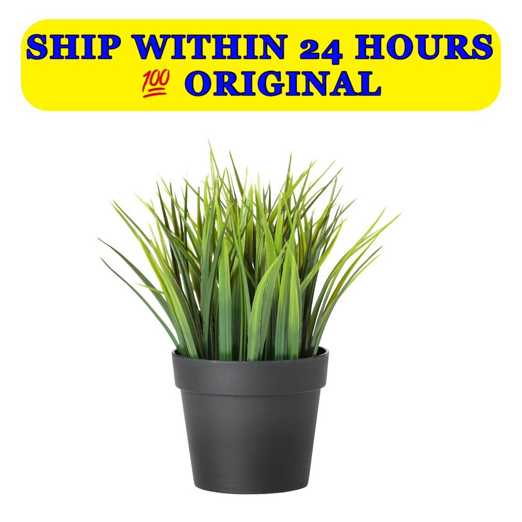 IKEA FEJKA Artificial Potted Plant Grass (9cm) Shopee Malaysia