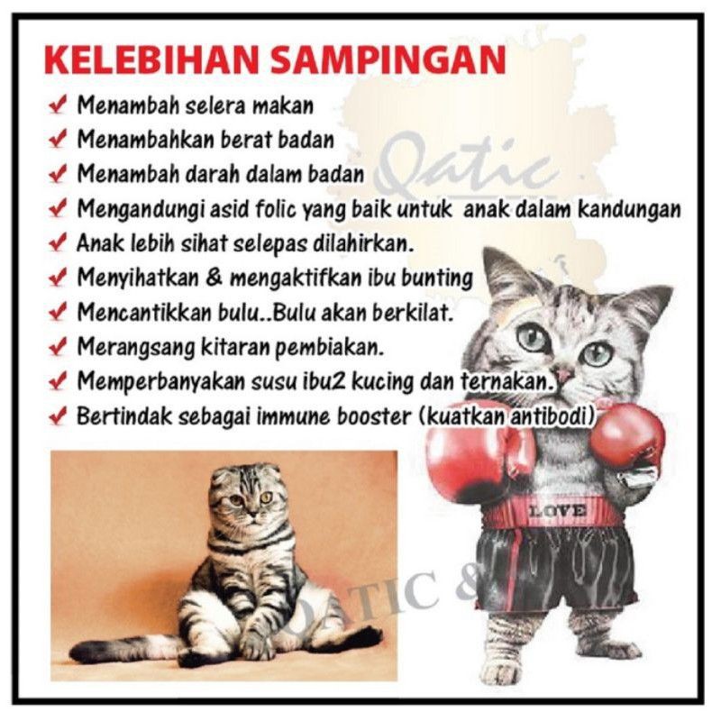 Ubat Kesuburan / Menaikkan Nafsu Kucing Anjing / On Heat Cat Dog 