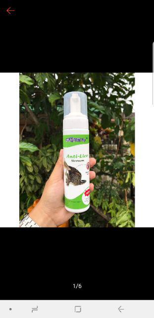 UBAT KUTU KUCING - BUIH FOAM (220ML)  Shopee Malaysia