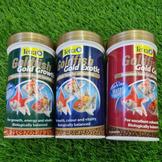 Tetra Goldfish Gold Fish Ikan Emas Germany