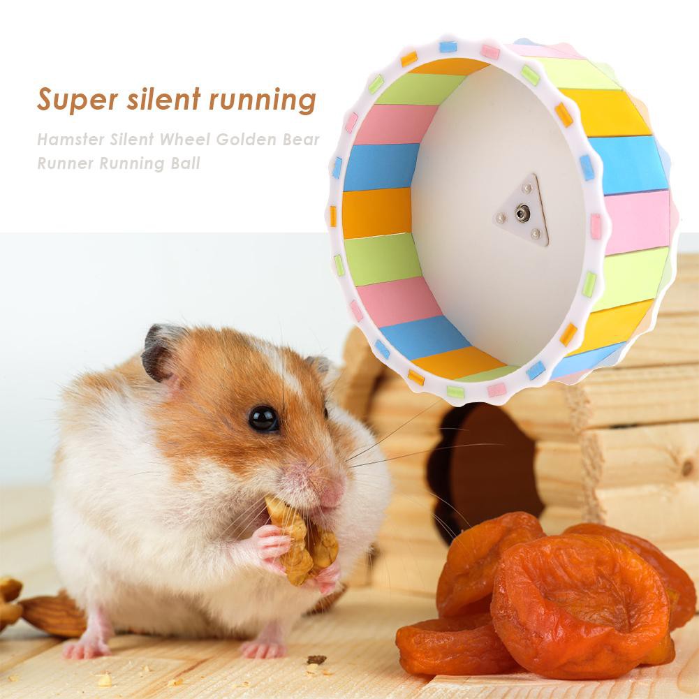 guinea pig running wheel