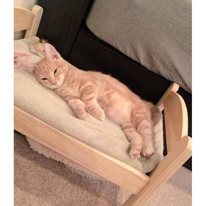 Katil Kucing Katil Anjing Mini Pets Bed Cat Bed Dog bed - pine Katil Kayu  Untuk Kucing Tersayang