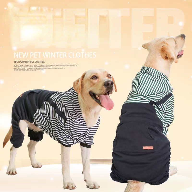 What Size Is My Dog In Clothes