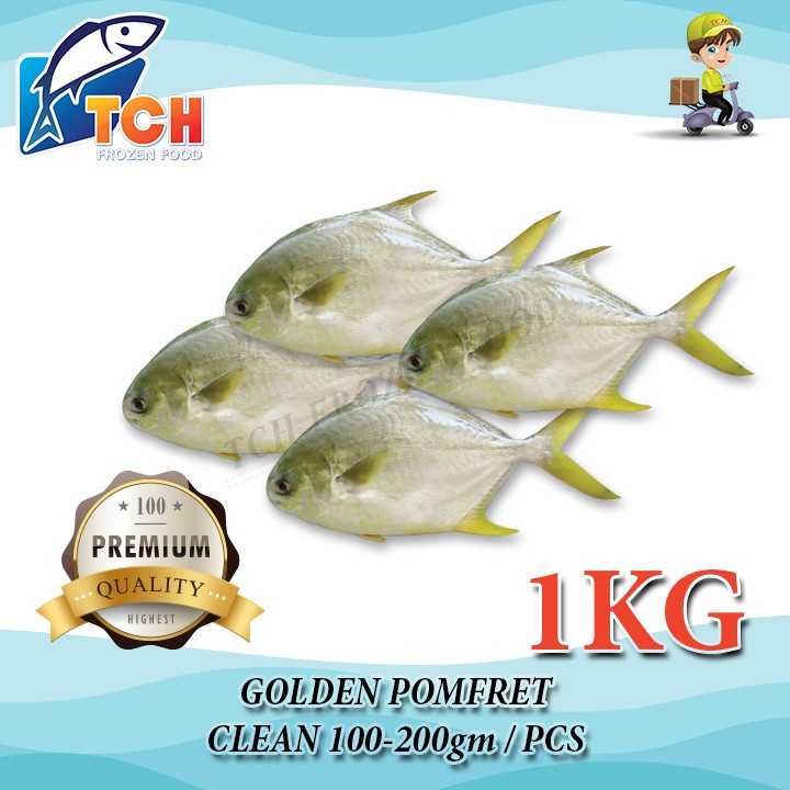 IKAN BAWAL MAS , GOLDEN POMFRET, TCH FROZEN FOOD, FRESH FROZEN SEAFOOD