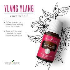 Ylang Ylang Essential Oil 15ml Young Living Shopee Malaysia