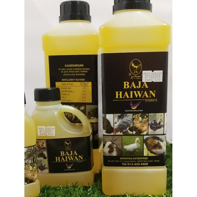 Buy Baja Haiwan Cap Ayam Melayu Dijamin 100 Ori Dan Juga Tanpa Dicairkan Seetracker Malaysia