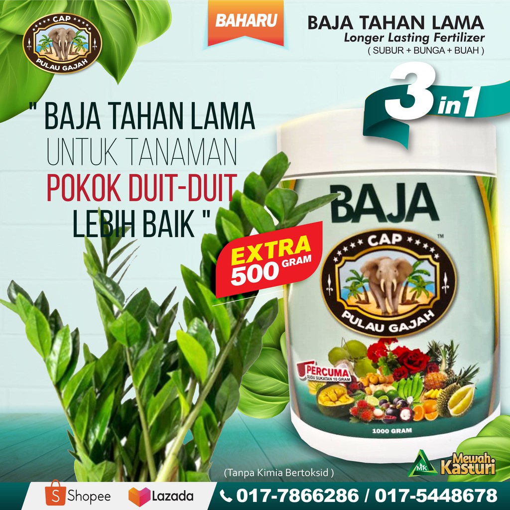 BAJA POKOK DUIT-DUIT DAN BUNGA HIASAN 13 Sumber Nutrein Semulajadi In 1 Pack Mini [ LENGKAP ...