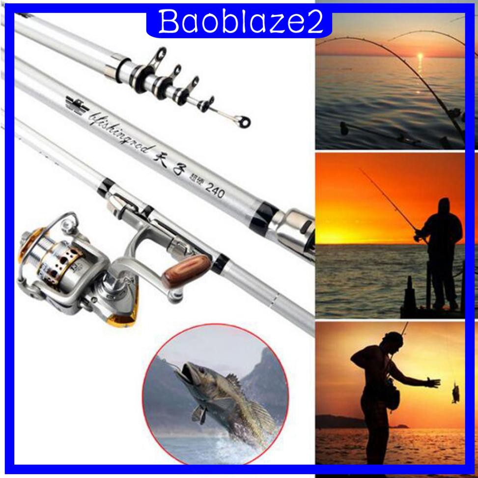 sea rock fishing rod