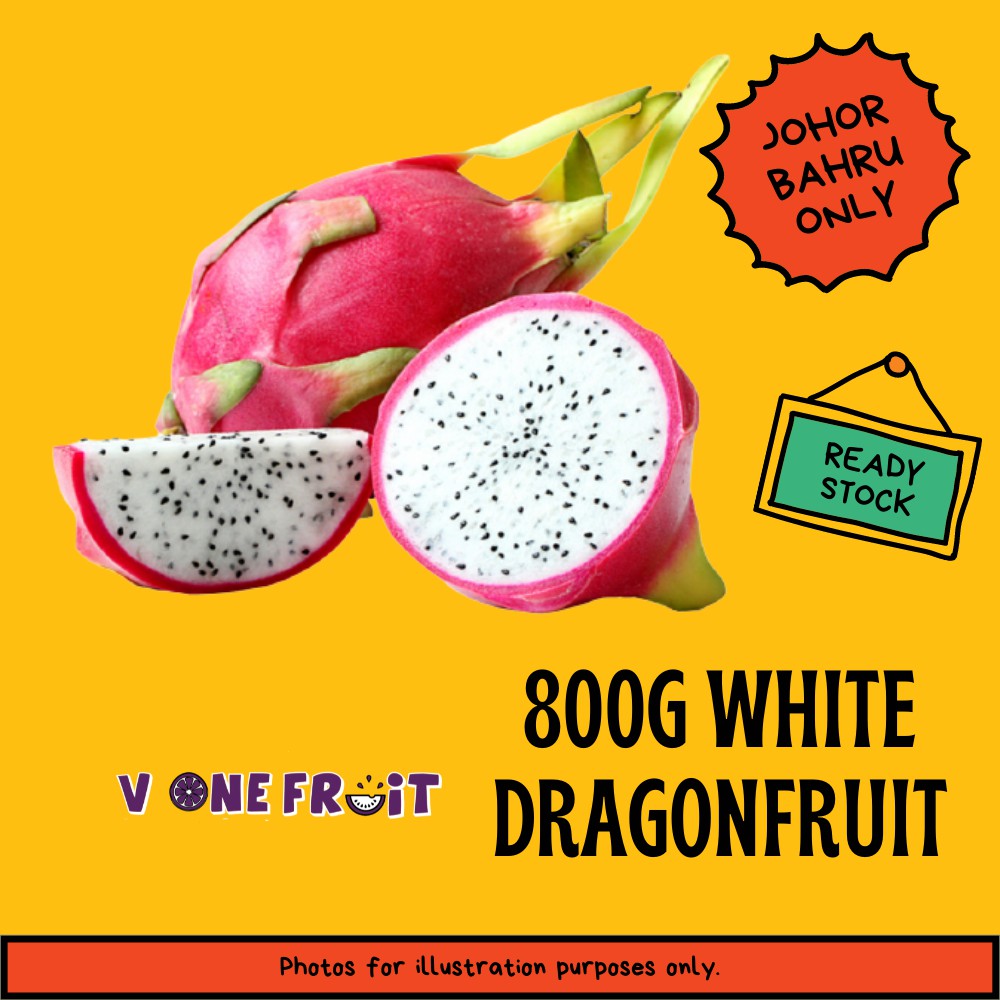 V1 White Dragon Fruit 白龙珠果 800g+- Daily Fresh Pick Fruit | Buah buahan | Fresh produce Delivery