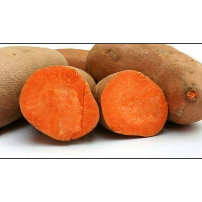 Buy Ubi Keledek Oren 1kg Rm8 Seetracker Malaysia