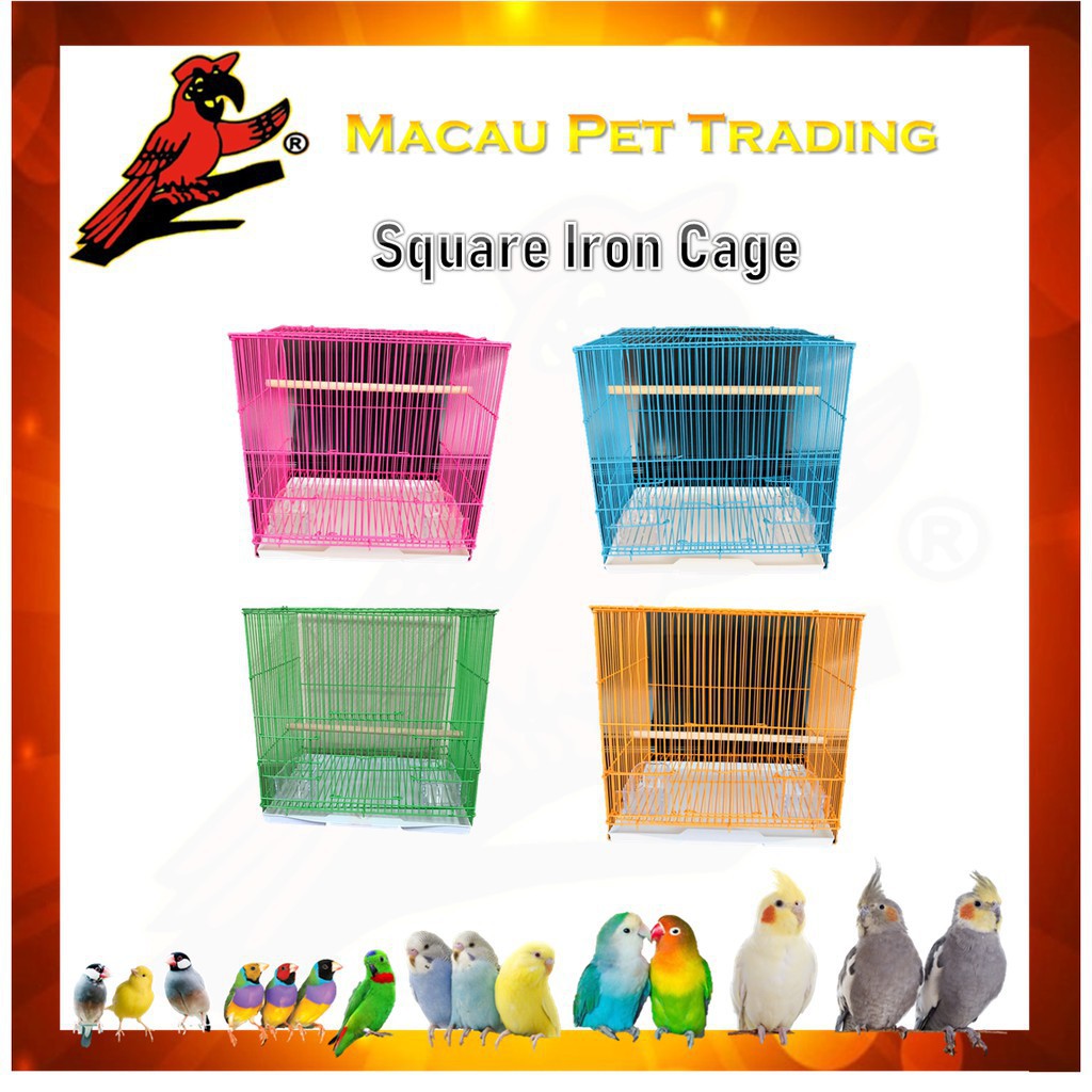 Sangkar Kucing Besar Murah Sangkar Kucing Sangkar Kucing Besar Sangkar Burung Sangkar Kucing Sangkar Segi Empat Sangkar Shopee Malaysia