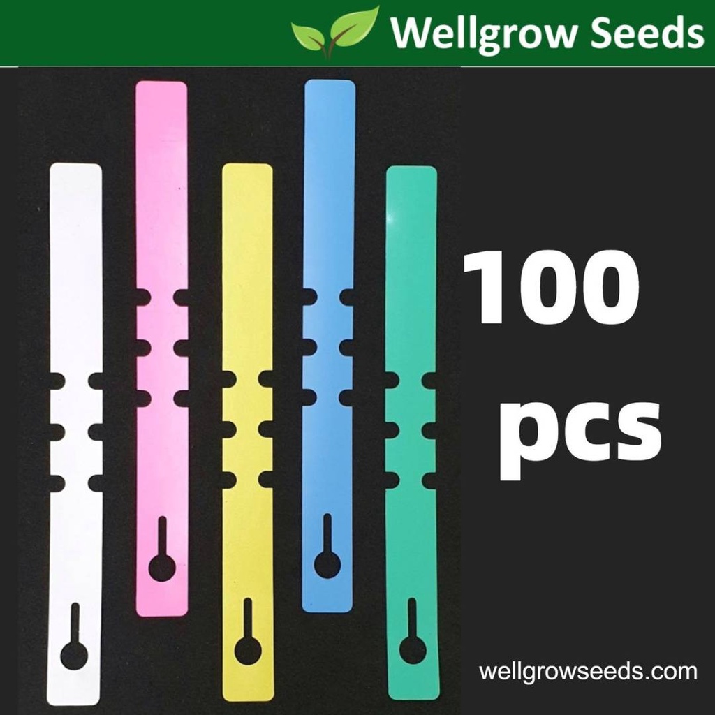 100pcs Plant Label/Plant Tag/Tree Label/Fruit Marker/Penanda Pokok/Gardening Label/Waterproof/High Quality PVC