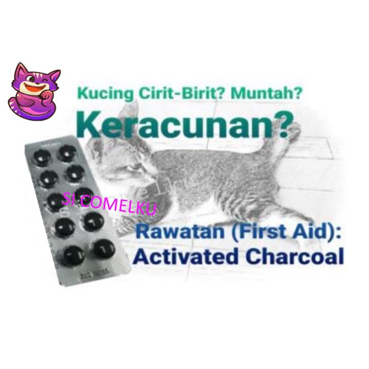 Buy Ubat keracunan/ cirit/ muntah untuk kucing  SeeTracker Malaysia