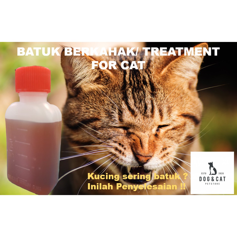 Ubat Batuk Berkahak u0026 Cair Kahak untuk Kucing  Shopee Malaysia