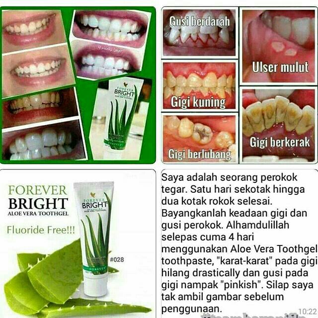 BRIGHT TOOTHGEL FOREVER LIVING  Shopee Malaysia