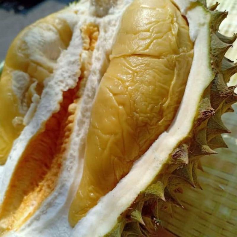 💥HOT ITEM💥DURIAN TEKKA @ D160 @ MUSANG QUEEN @ CHOK KIOK | Shopee Malaysia