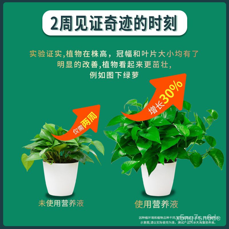营养液植物通用型土培水培盆栽花卉绿萝富贵竹发财树液体养花肥料 Shopee Malaysia
