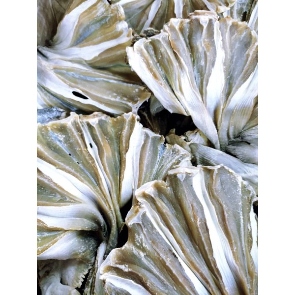Buy Ikan Pari Kering Ikan Masin Pari Seetracker Malaysia