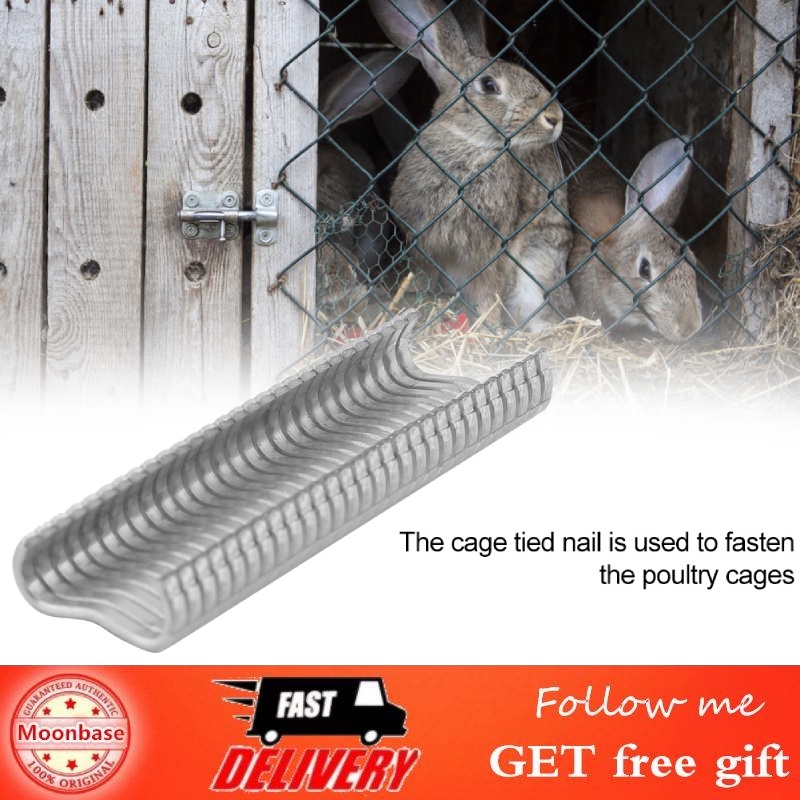 [Ready Stock] DeeTee 600PCS/Set M Nails Tied to the Cage Fastening