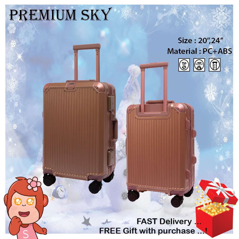 sky airline hand luggage