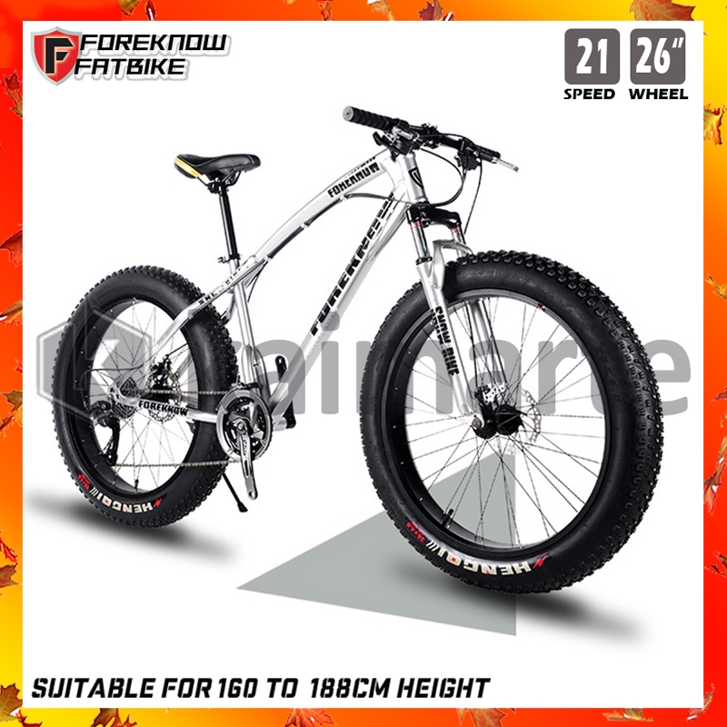 21 frame mountain bike