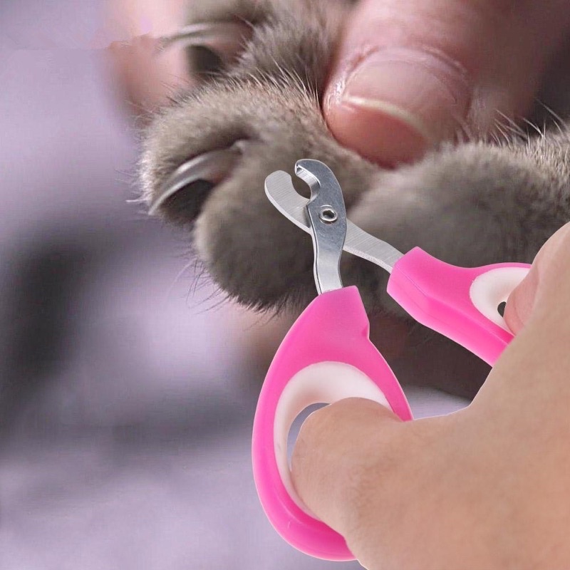 Nail Clipper For Cats Dogs Stainless Steel Scissors For Cats Claws