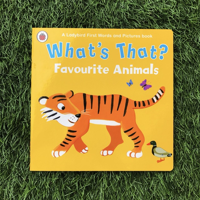 Whats That A Ladybird First Words And Pictures Book - 