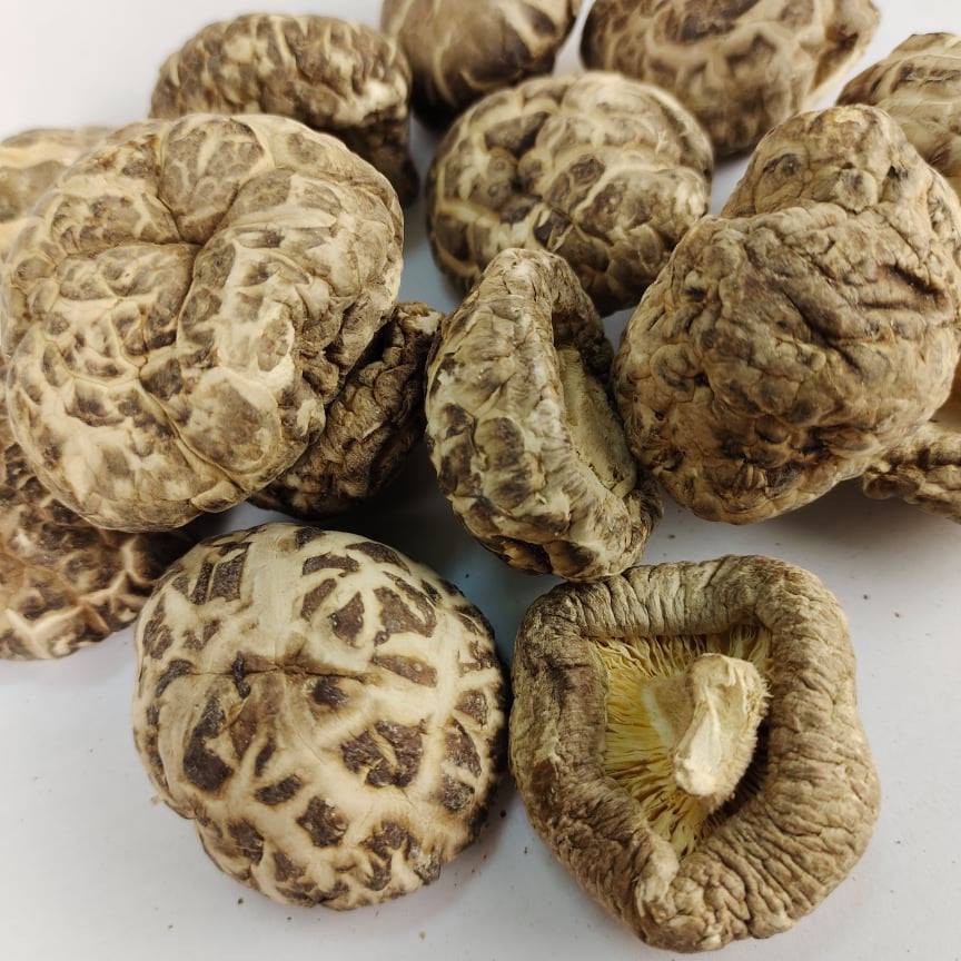 Dried Flower Mushroom 特选茶花菇