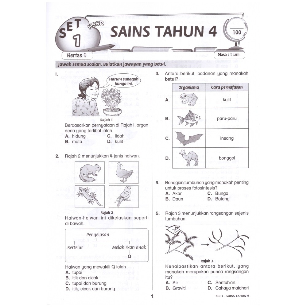 Soalan Proses Fotosintesis Tahun 4 Jiran  Riset