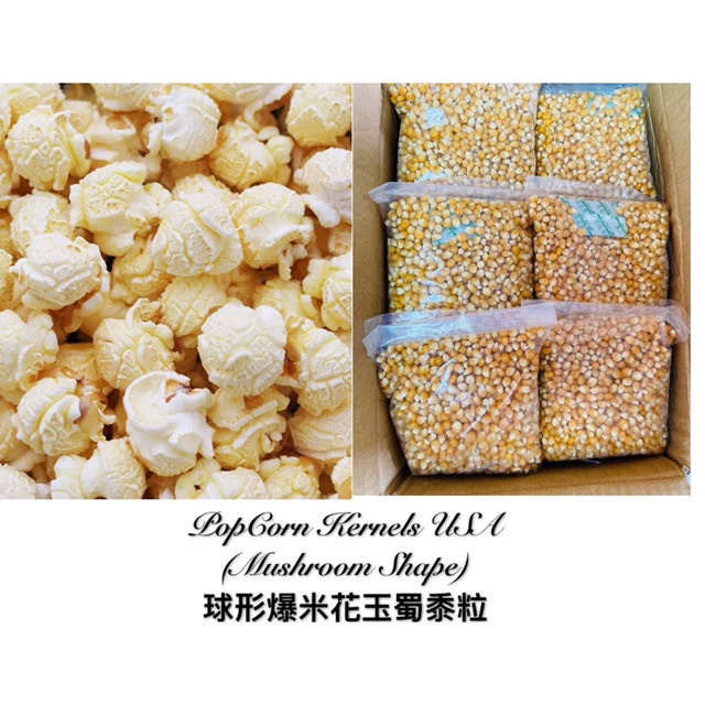 Dried PopCorn Kernel (Mushroom shape) 1kg USA