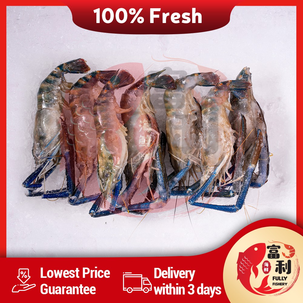 Fully Fishery Fresh Water Prawn U10 950g 1kg Shopee Malaysia