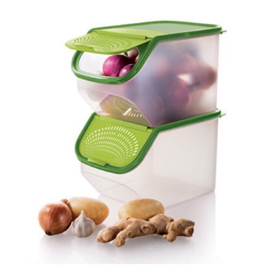 Tupperware (1 piece: 5 Liter) Garlic Keeper 5L Green