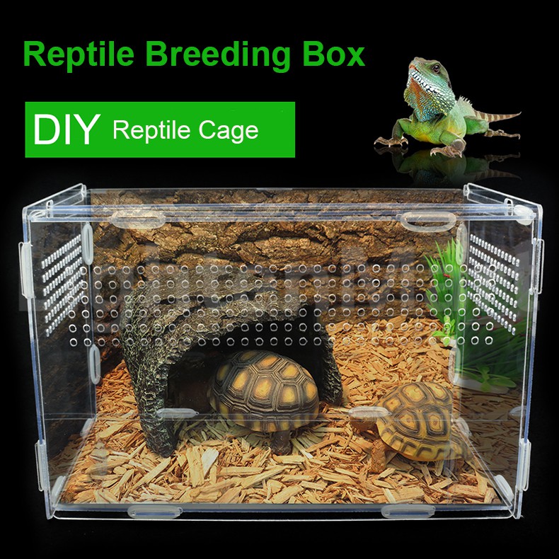 stonishi Punchki Acrylic Reptile Feeding Box ，Aquarium Breeding Box All-Round Transparent Carrier for Pet Spiders Scorpions Horned Frogs advancement 