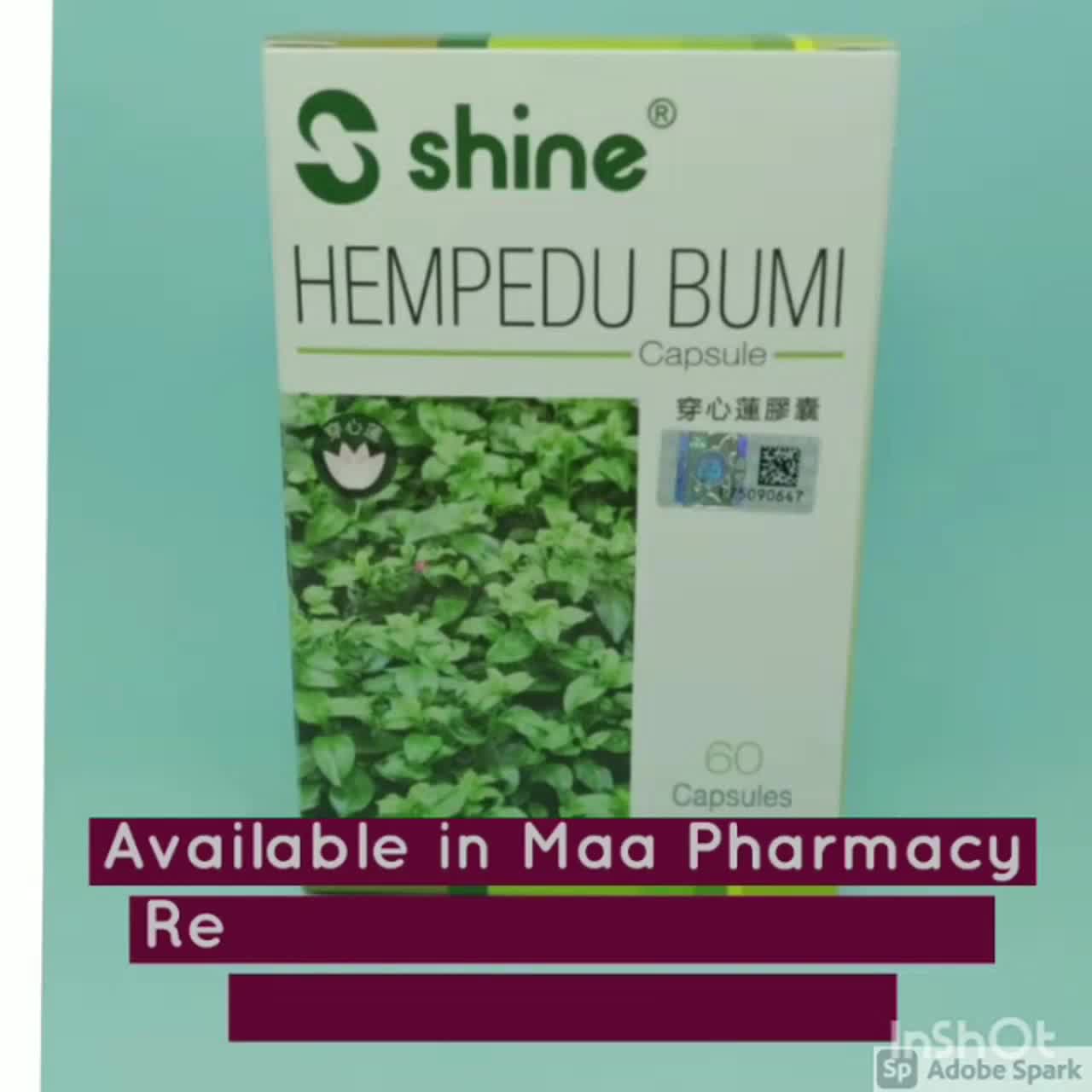 Buy Pil Hempedu Bumi By Shine New Ready Stock Seetracker Malaysia