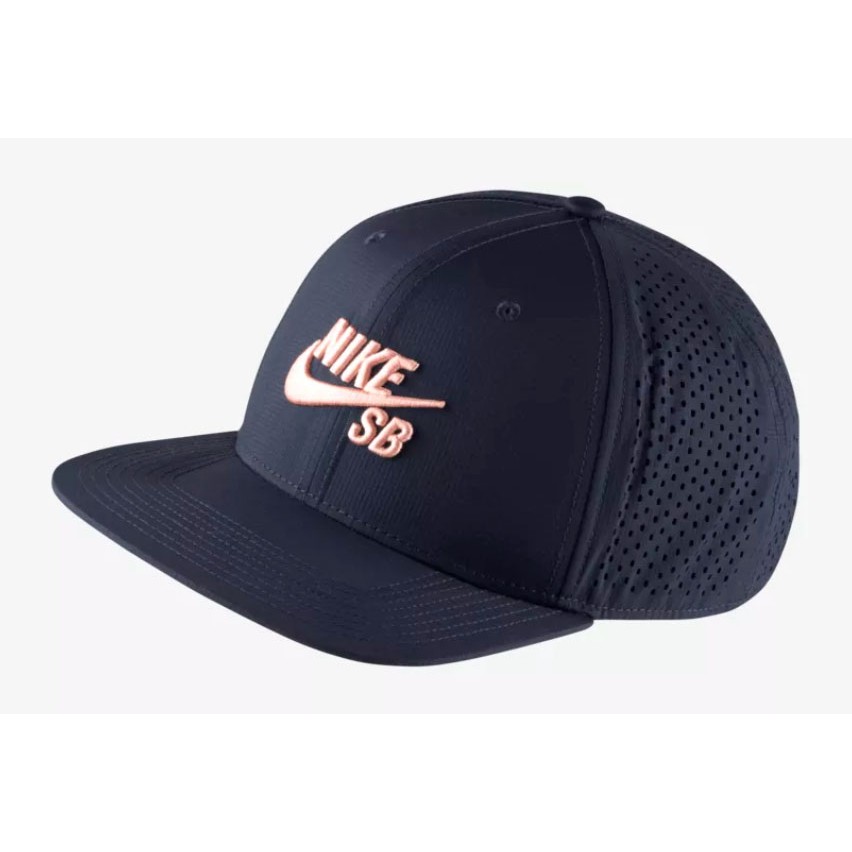 nike sb performance hat