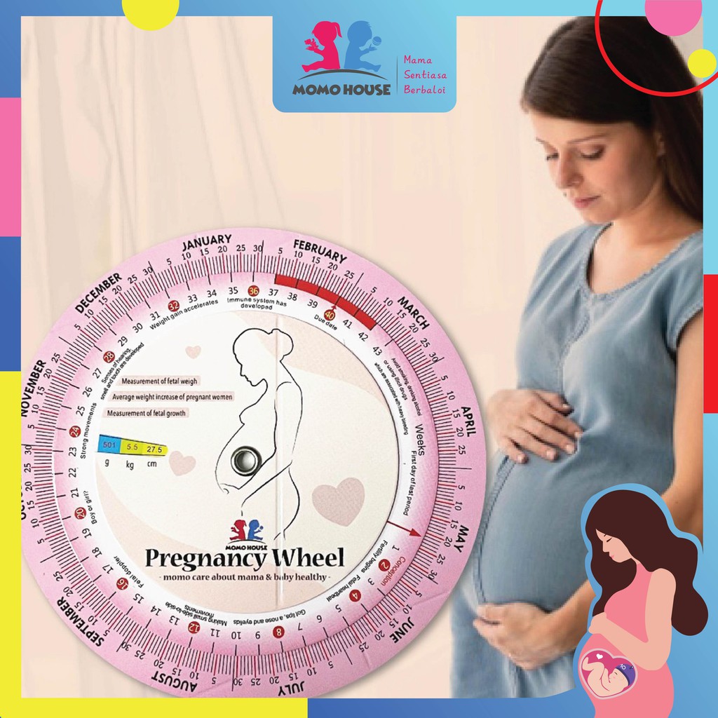 Pregnancy OB Wheel Obstetric Wheel Pregnancy Calculator Wheel Roda
