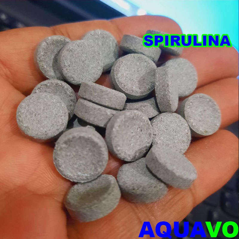 PELLET LEKAT SPIRULINA 100gm TABLET STICK AQUARIUM MAKANAN IKAN LAGA