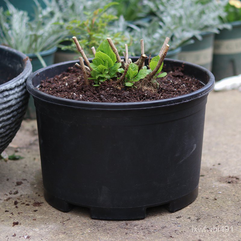 Buy Plastic Flowerpot 大花盆黑加仑盆塑料圆形花盆花卉绿植盆栽定植盆容器特大绣球花盆 Seetracker Malaysia