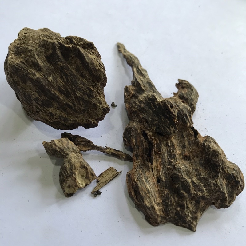 Oud Chips Sinking (per gram) Shopee Malaysia