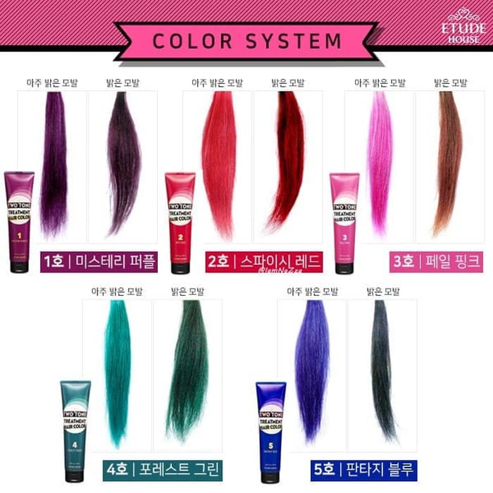 Etude House Two Tone Treatment Hair Color Shopee Malaysia