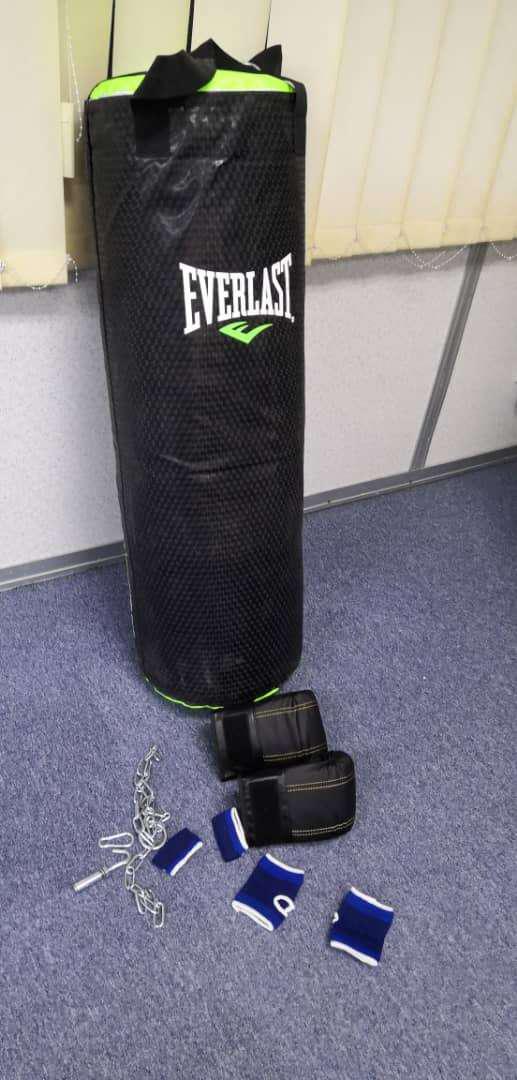 everstrike punching bag