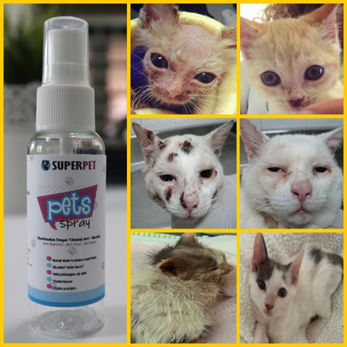 🔥UBAT KURAP SPRAY LUKA SPORO KUDIS GATAL🔥 UNTUK KUCING ANJING 