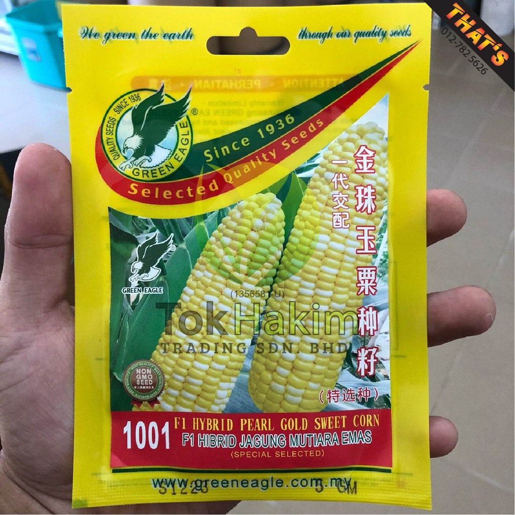 Biji Benih Jagung Mutiara Emas Hibrid F1 (40 biji) GREEN EAGLE 