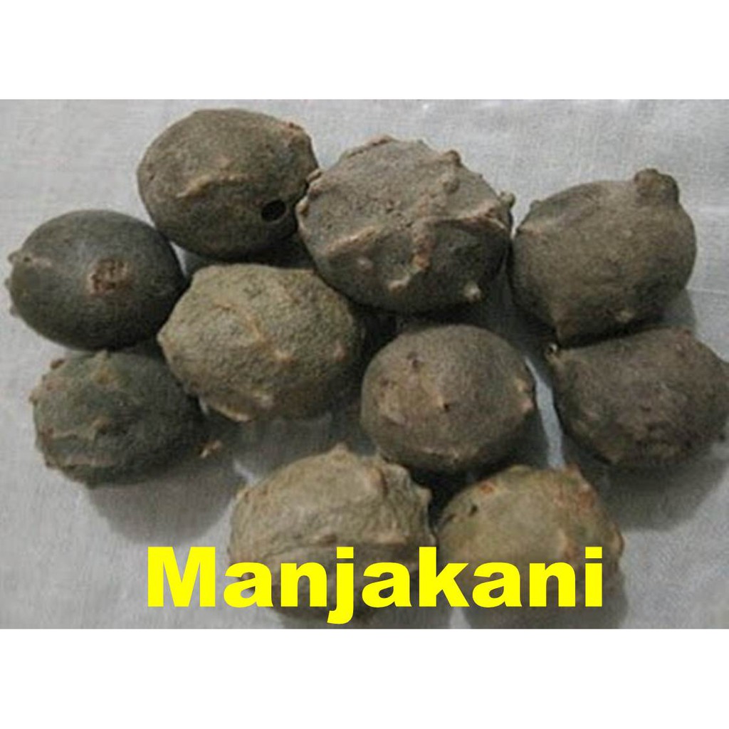 manjakani /perapat/ ketat